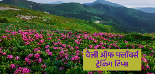 जान लें ये जरूरी बातें, जुलाई या अगस्त जब भी कर रहे हैं ‘Valley of Flowers’ ट्रेकिंग की प्लानिंग